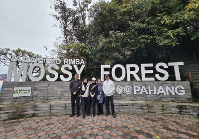 HIDDEN TREASURES (Half Day Tours)