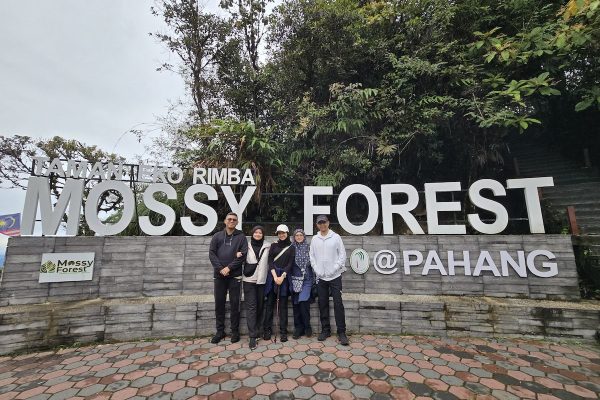 HIDDEN TREASURES (Half Day Tours)