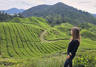 CAMERON EDEN (Full Day Tours)