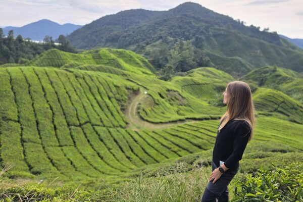 CAMERON EDEN (Full Day Tours)