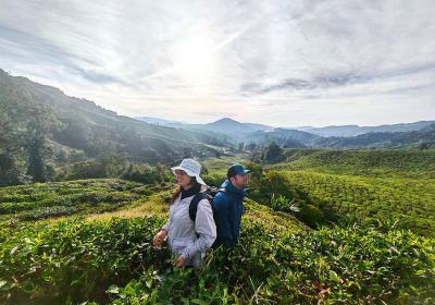 ENCHANTED BEAUTY (Full Day Tours)