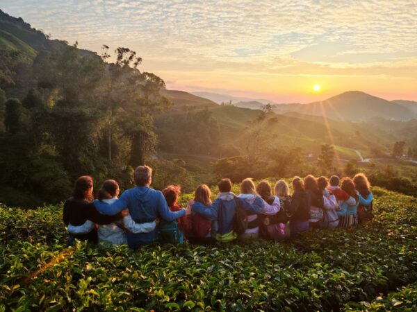 MOUNTAIN LIGHT (Sunrise Tours)