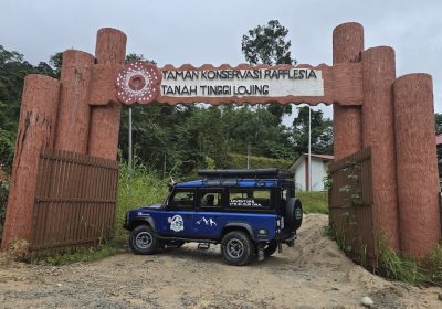 THE RAREST BLOOM (Rafflesia Tours)