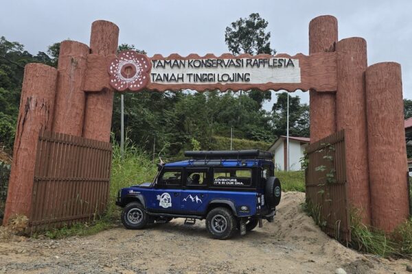 THE RAREST BLOOM (Rafflesia Tours)